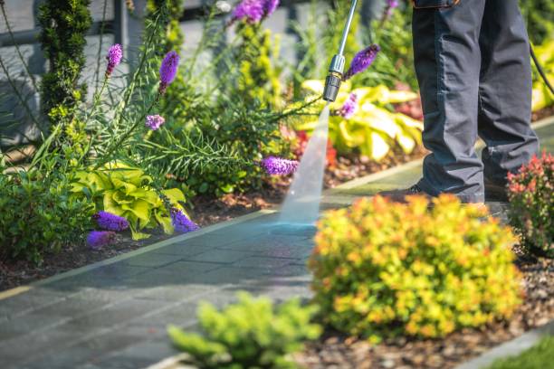 Trusted Union Park, FL Pressure Washing Services Experts